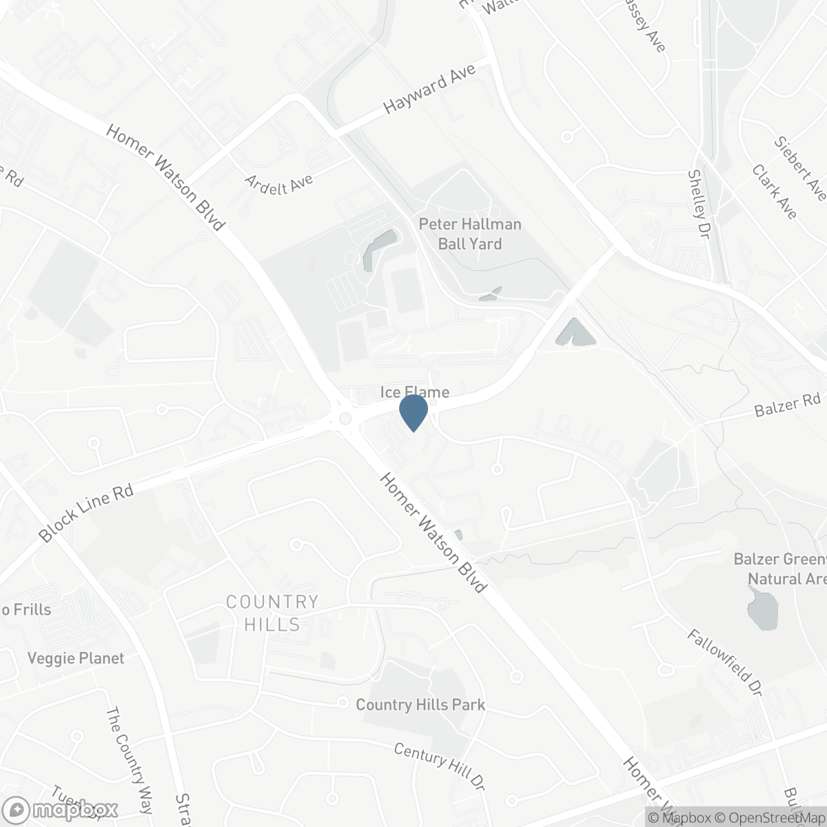 19 - 10 FALLOWFIELD DRIVE, Kitchener, Ontario N2C 0A4